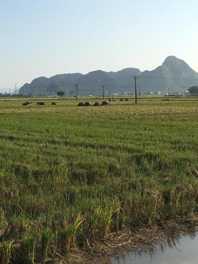 נין בין Limestone View Homestay מראה חיצוני תמונה